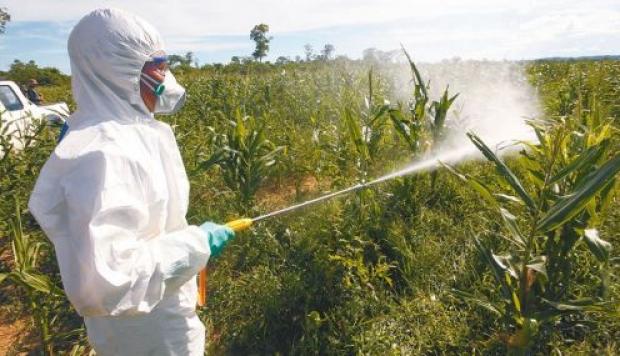 Continente Americano, el mayor consumidor
<br>El uso de pesticidas se duplicó de 1990 a 2021, alerta la FAO